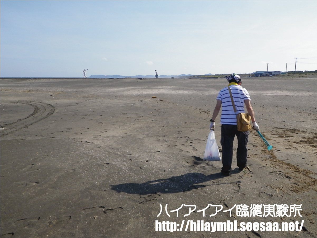 ふんどし　臨海 